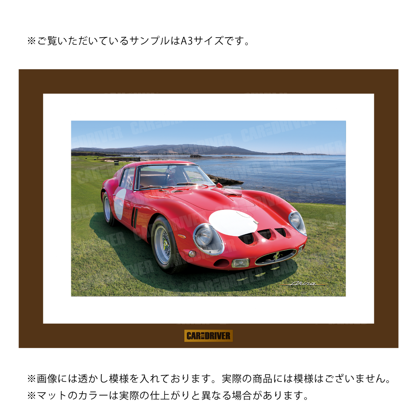 フェラーリ250GTO『CAR and DRIVER』(2024年10月号)表紙
